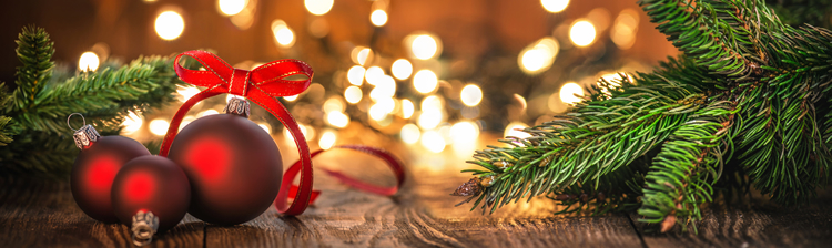Aggiornamento sezione Emeroteca ed auguri di Buone Feste.